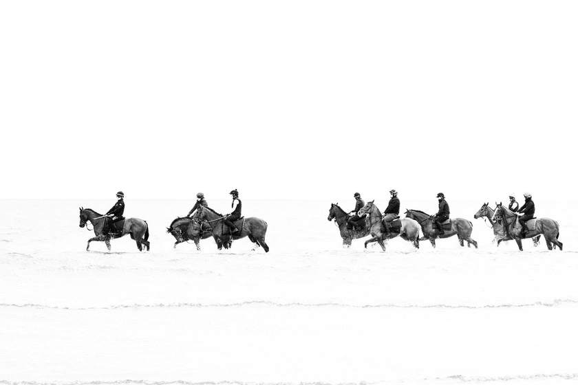 A string of racehorses walking through the sea