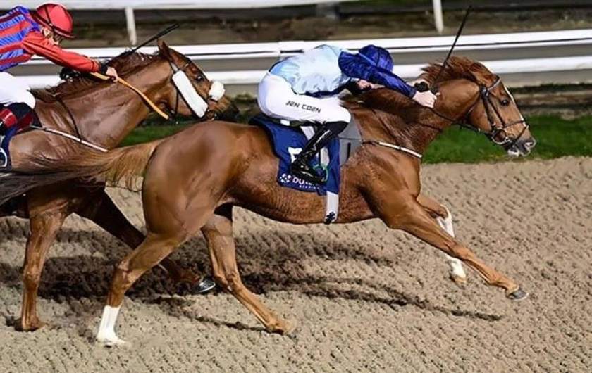 Daamberdiplomat winning under lights at Dundalk