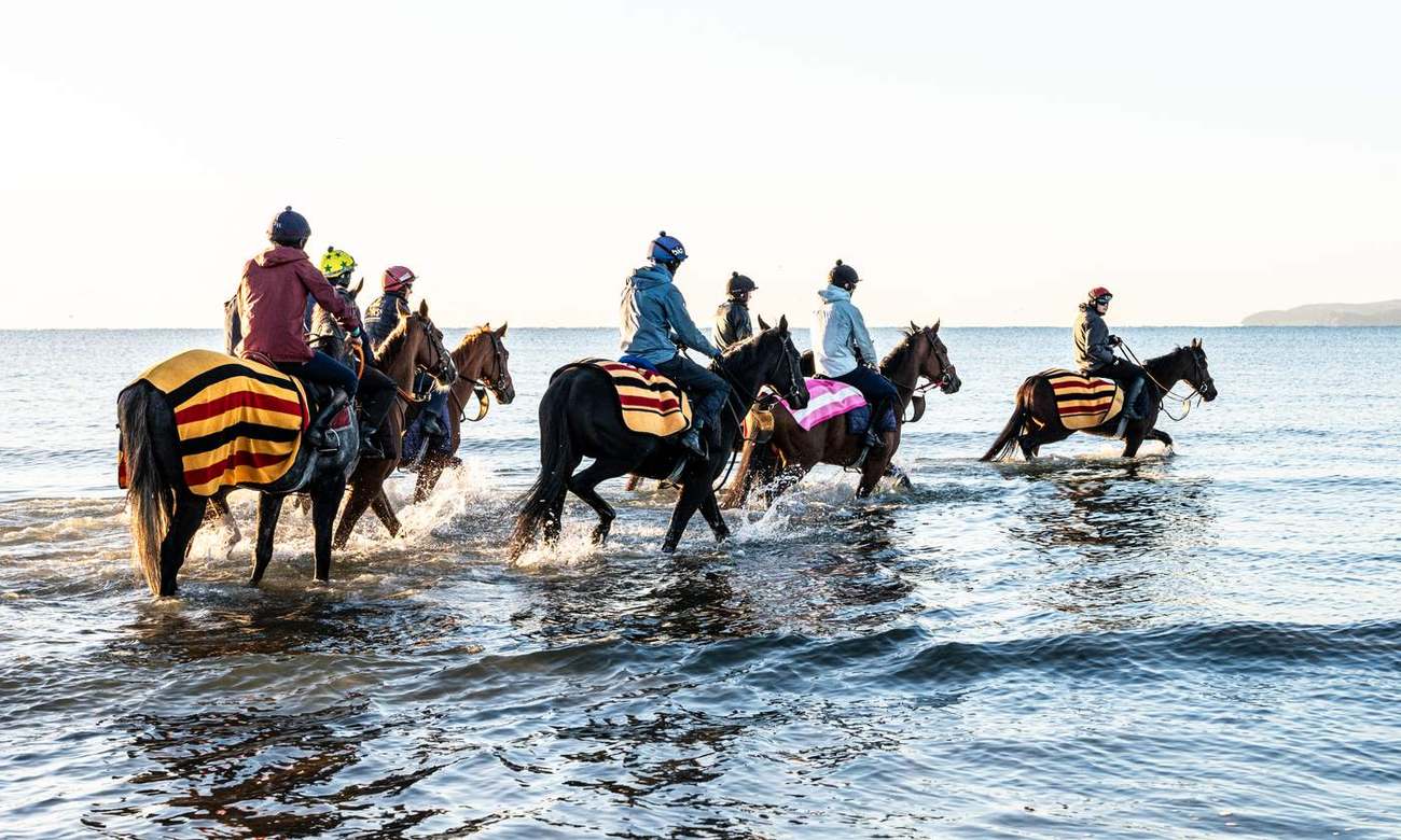 Horses and riders heading into the sea together