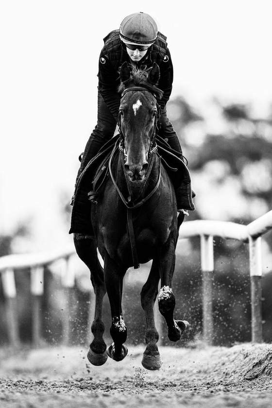 Racing towards the camera
