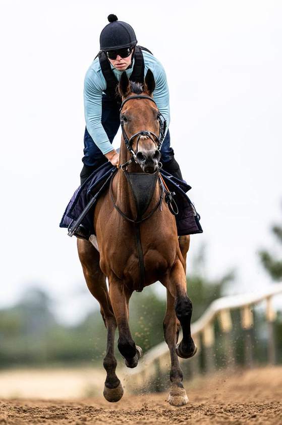 In full stride