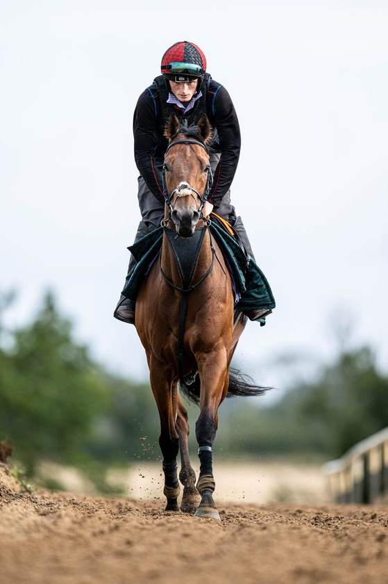 Heading down the gallop