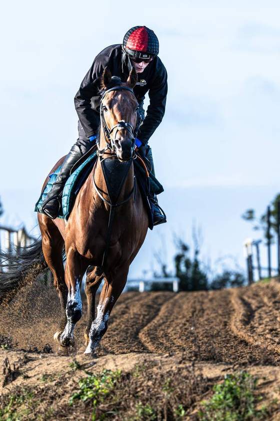 Cresting the gallop