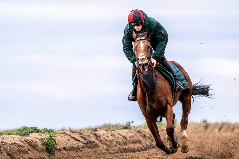 At full stretch on the sand gallop