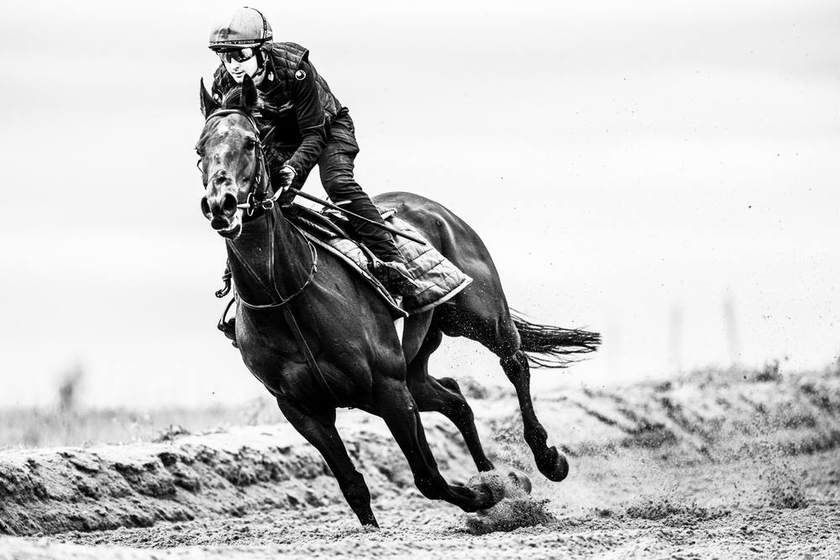 A racehorse and rider rounding the bend on the sand gallop, in black and white