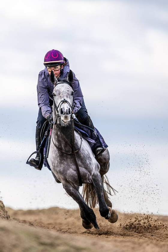 A grey racehorse and rider kicking up the sand on the gallop