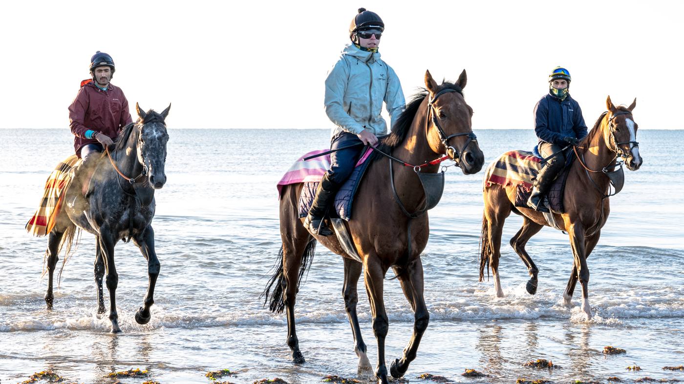 Three racehorses and their riders walking out of the sea together