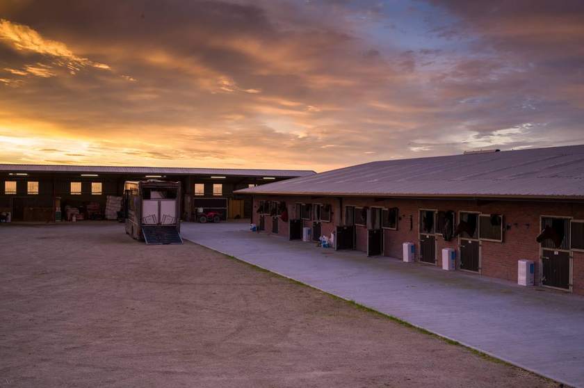 The brick stable block and covered barn at sunrise, with horses looking out over their doors