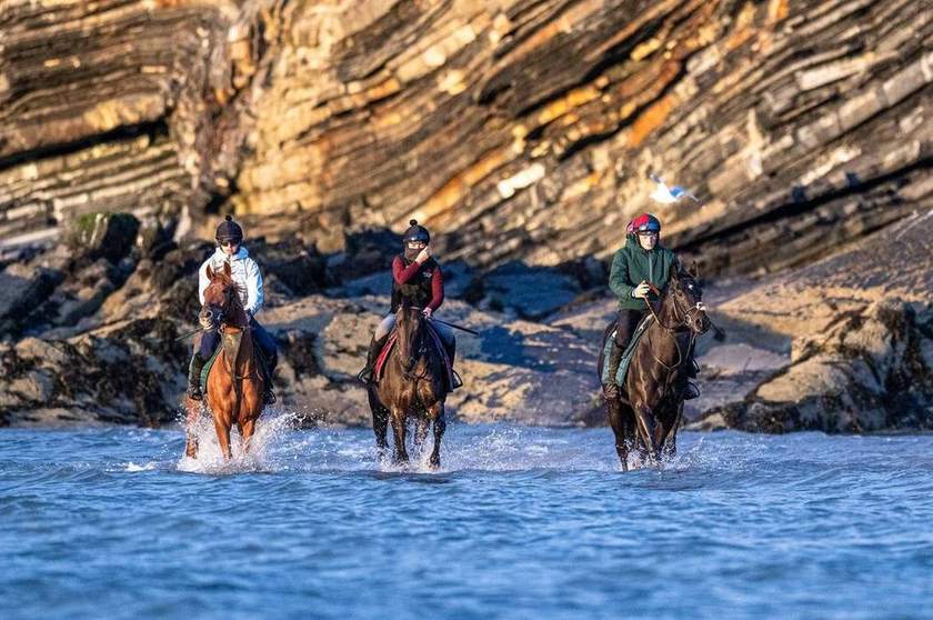 Three racehorses and their riders walking through the sea beneath the cliffs